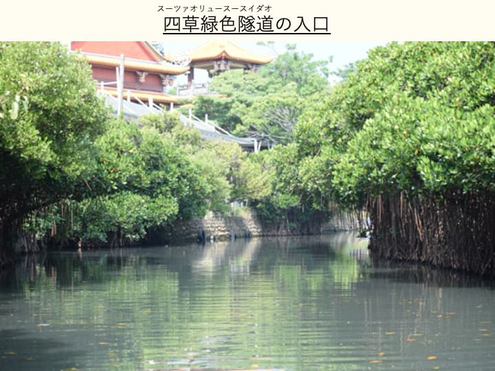 四草緑色隧道_入口