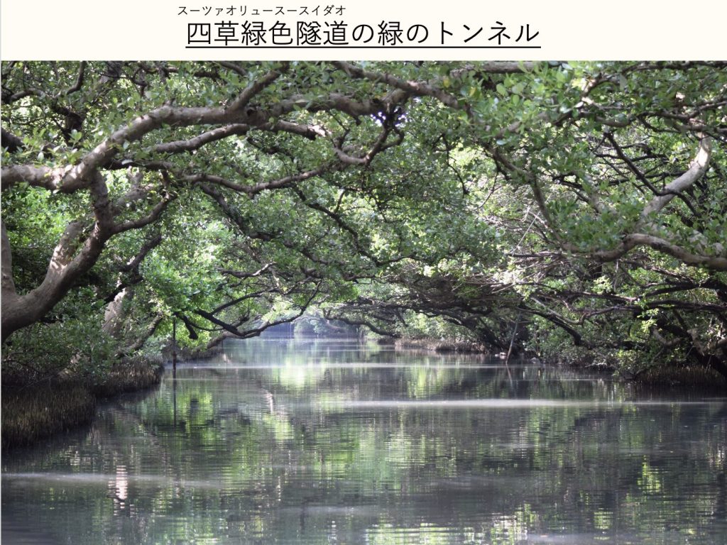 四草緑色隧道_緑のトンネル