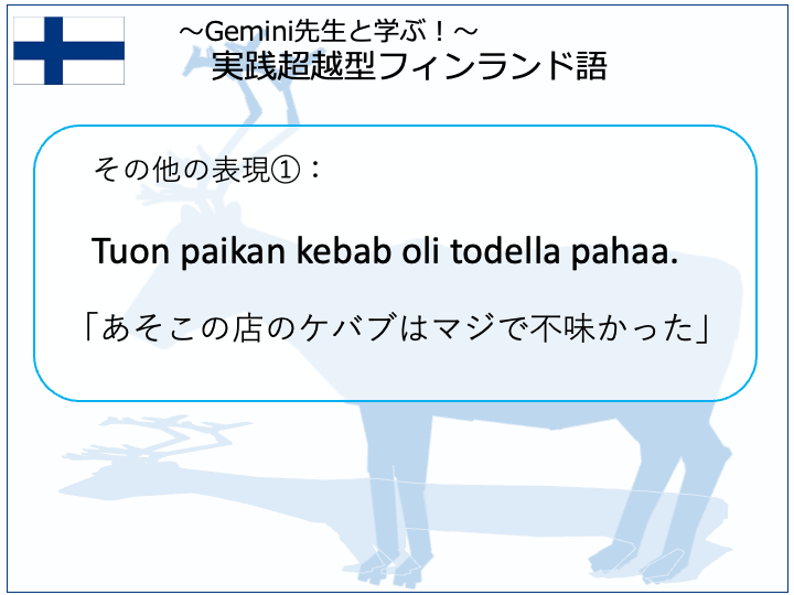 あそこの店のケバブは美味しくなかった
