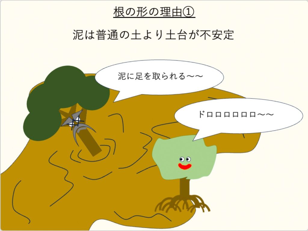 マングローブの生育する土壌環境が、普通の陸上より不安定であることを説明