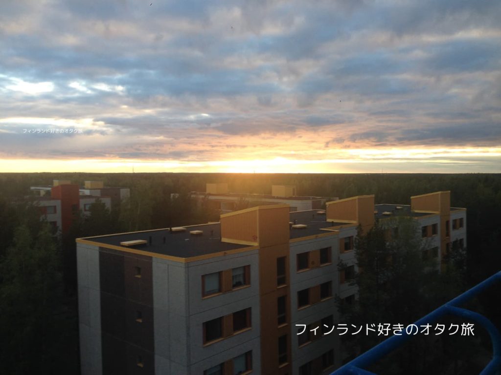 とてもフラットなオウルの写真