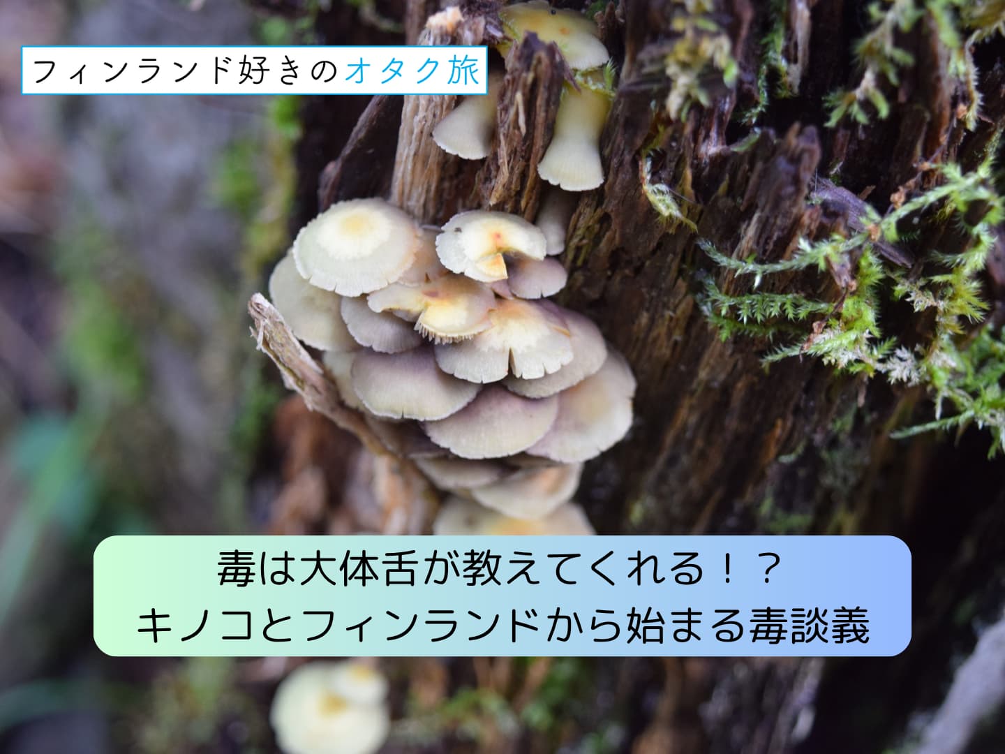 毒は大体舌が教えてくれる！？キノコとフィンランドから始まる毒談義_表紙