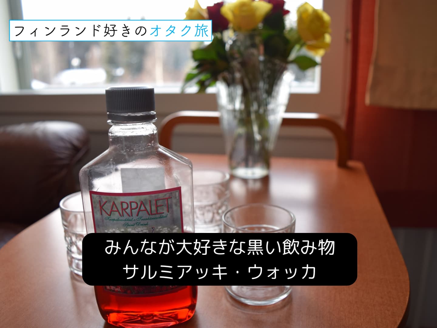 みんなが大好きな飲み物サルミアッキウォッカ_表紙