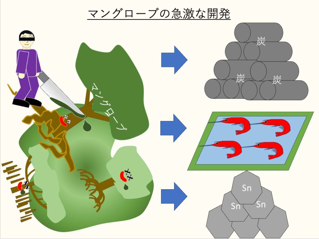 マングローブの急激な開発の模式図
