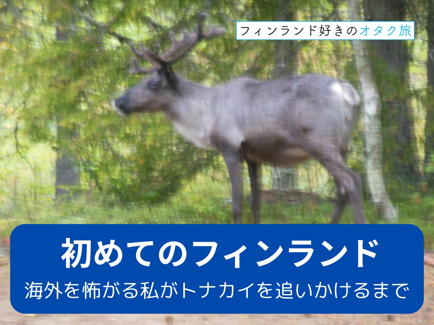 初めてのフィンランド：海外を怖がっていた私がトナカイを追いかけるまで_表紙