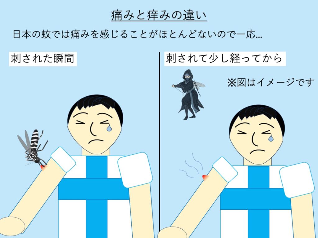 痒みと痛みの違いについての説明模式図