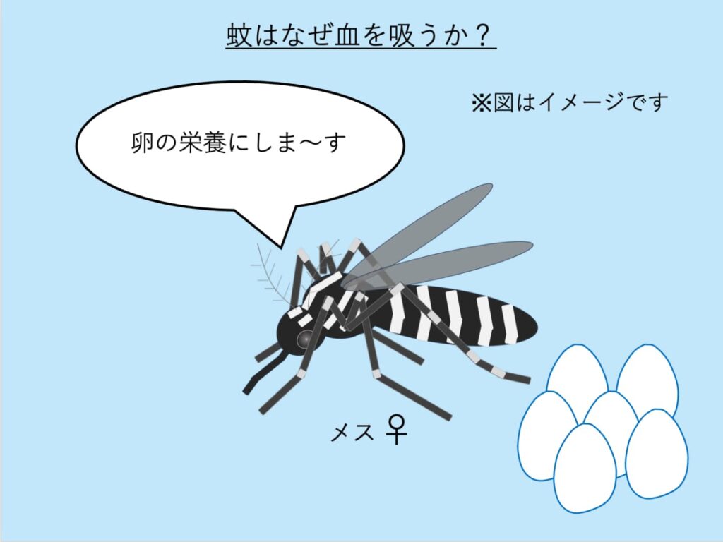 蚊はなぜ血を吸うかについて説明した模式図