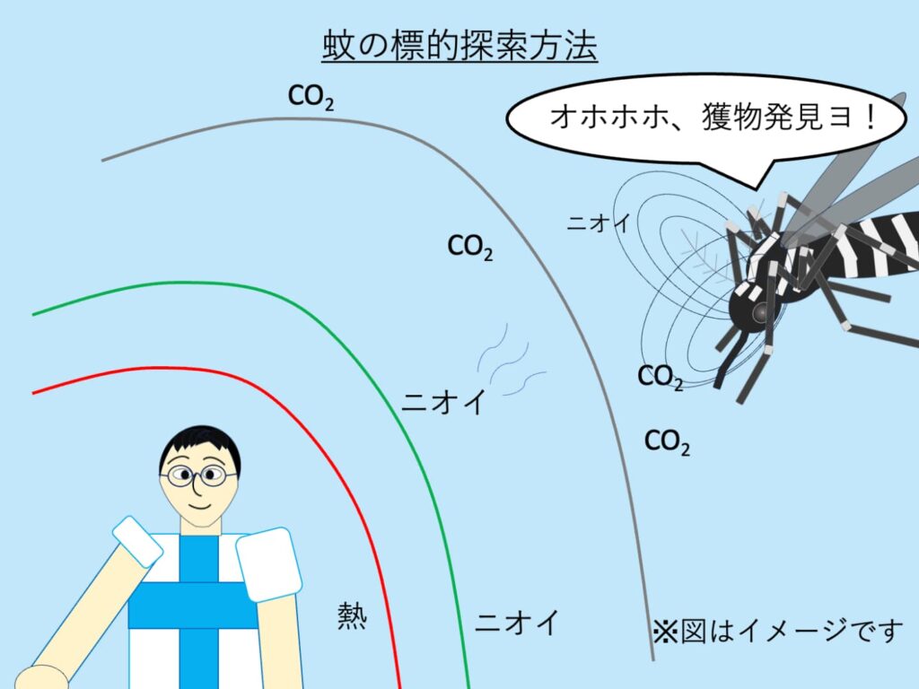蚊の標的探索方法の模式図