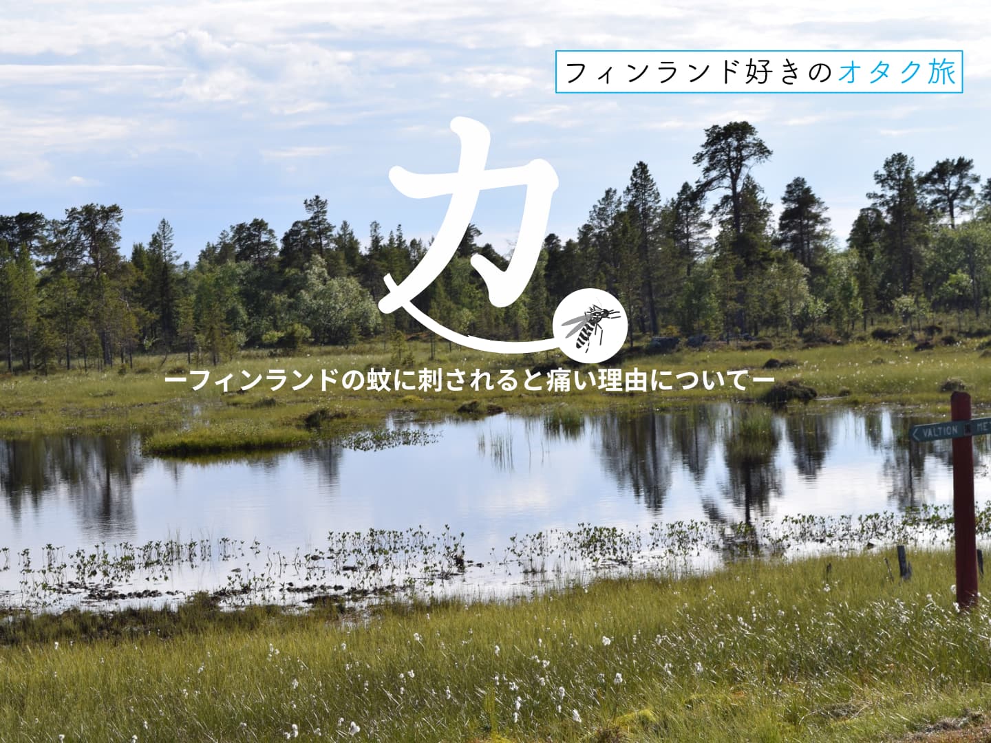 カ。ーフィンランドの蚊に刺されると痛い理由についてー表紙