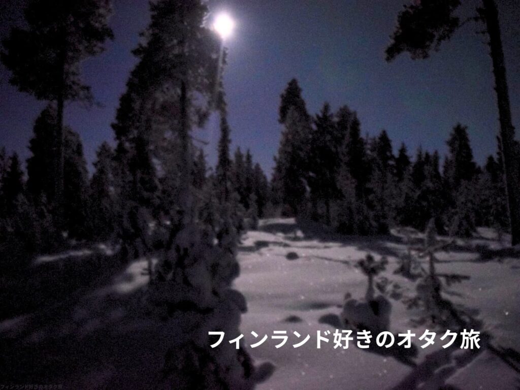 月明かりの冬のフィンランド。月明かりに照らされた木の影がはっきり見える。