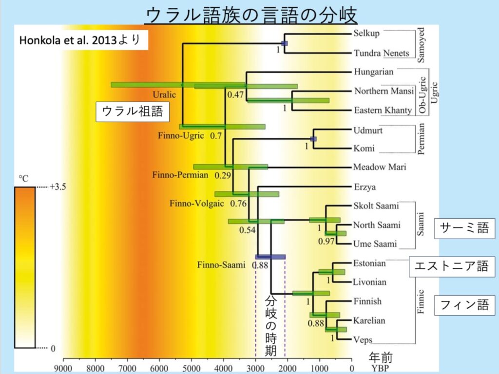 ウラル語族の言語の分岐図と時期。Honkola et al. 2013より引用。