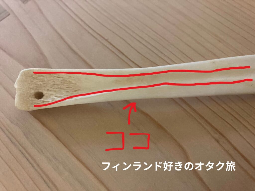 トナカイの骨髄部分